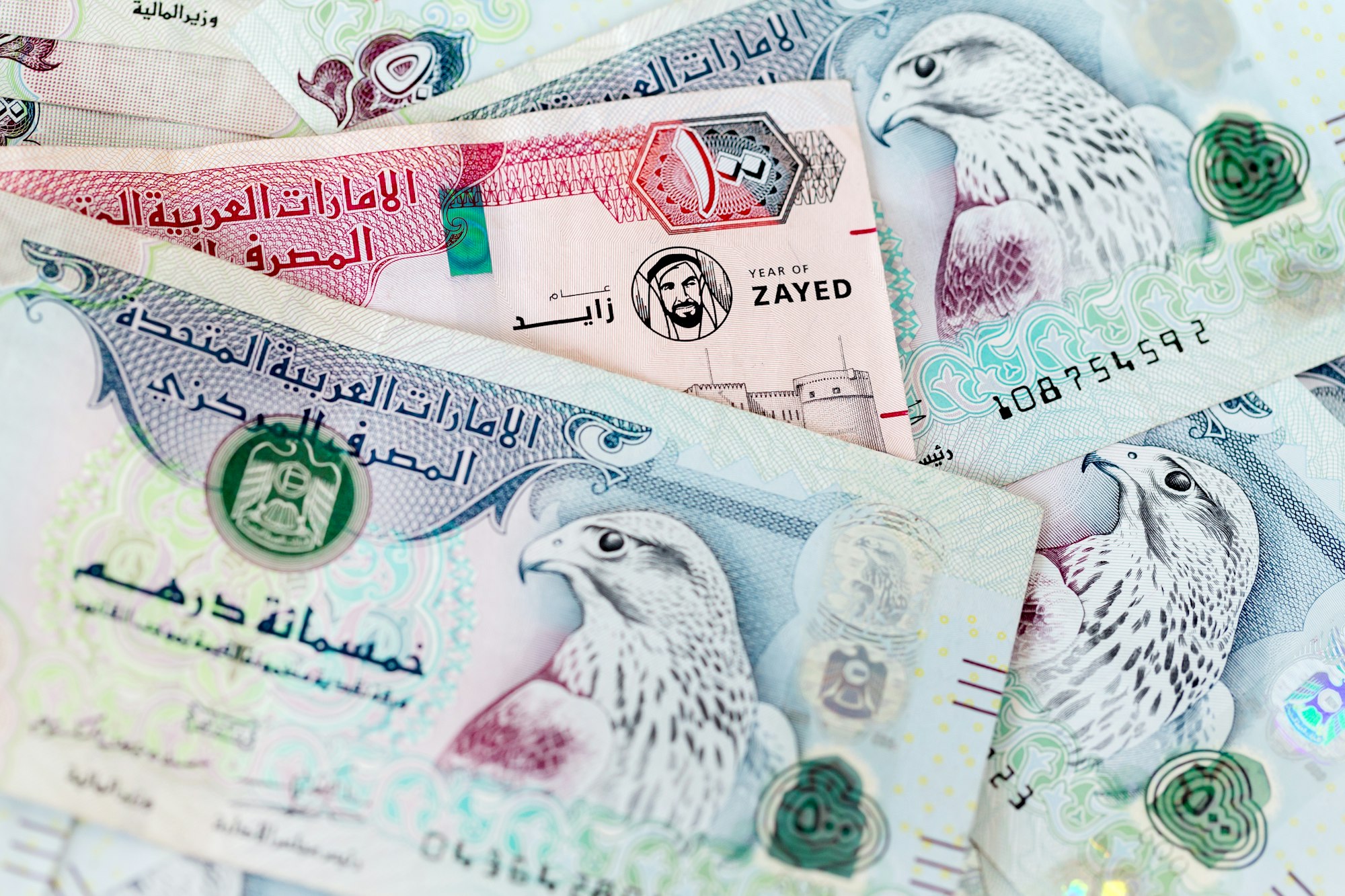 UAE dirhams, paper money, five and one hundred dirhams banknotes, closeup view